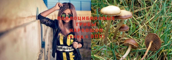 первитин Армянск