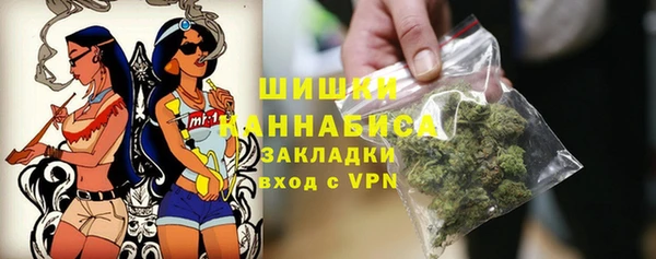ПСИЛОЦИБИНОВЫЕ ГРИБЫ Арсеньев