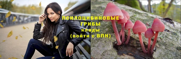 jwh Новодвинск