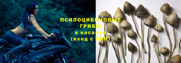 таблы Новокубанск