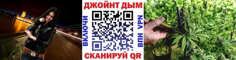 Бошки Шишки индика  наркотики  блэк спрут ССЫЛКА  Чайковский 